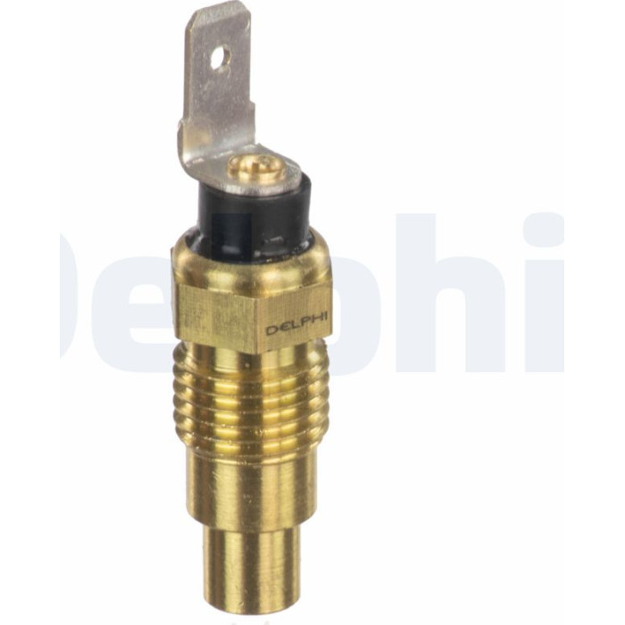Delphi Temperatursensor TS10489