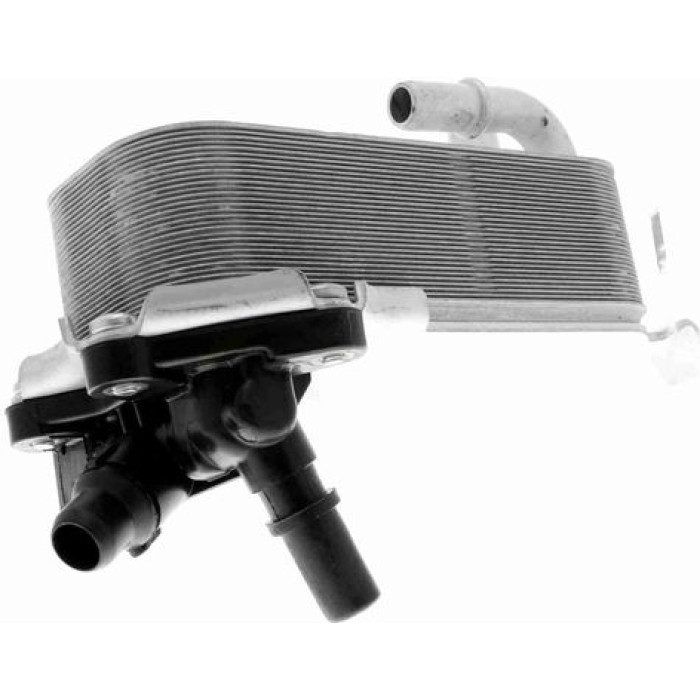 Vemo Motorölkühler V20-60-0053 Vemo Motorölkühler V20-60-0053