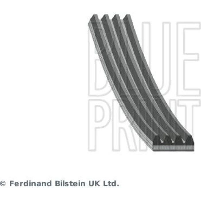 BluePrint Rillenriemen AD04R925 BluePrint Rillenriemen AD04R925