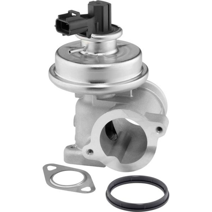BorgWarner (Wahler) AGR-Ventil 712064D
