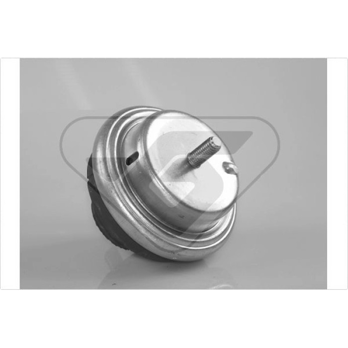 HUTCHINSON Lagerung, Motor 594255