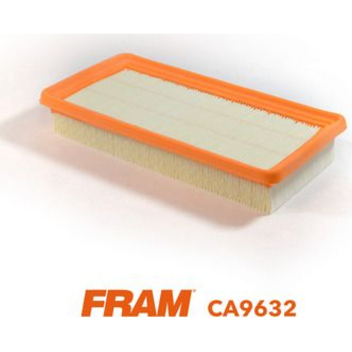 FRAM Luftfilter CA9632