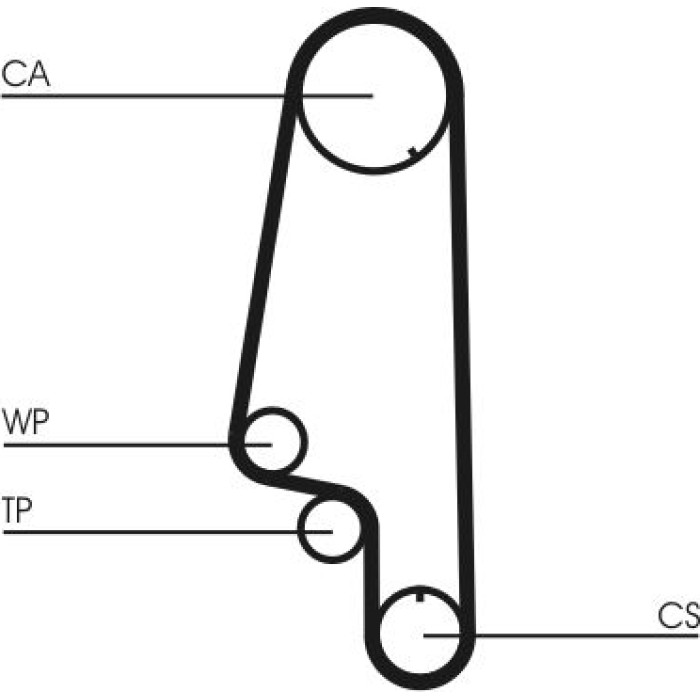 Continental CTAM Timing-Kit CT845WP1