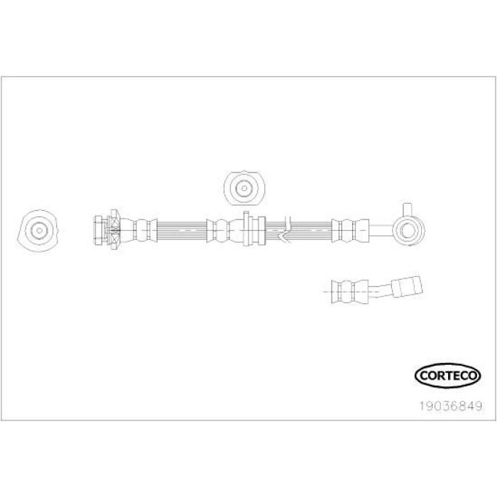 Corteco Bremsschlauch 19036849