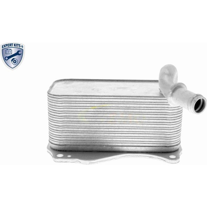 Vemo Motorölkühler V30-60-1342 Vemo Motorölkühler V30-60-1342