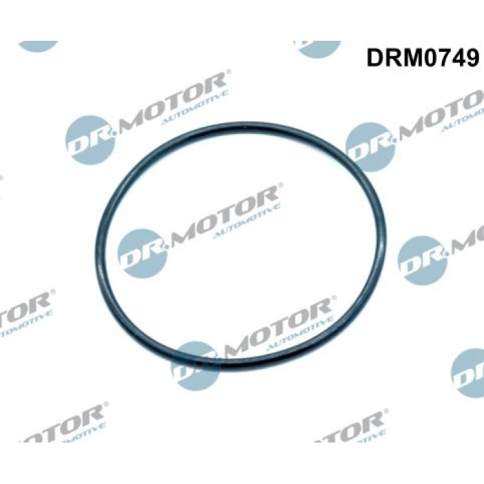 DR.MOTOR Dichtung, Ansaugkrümmer DRM0749 DR.MOTOR Dichtung, Ansaugkrümmer DRM0749