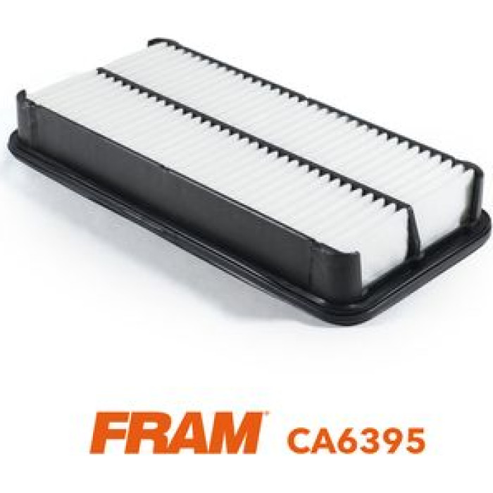 FRAM Luftfilter CA6395
