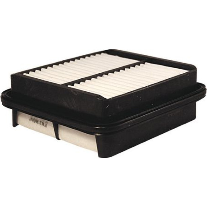 Filtron Luftfilter AP 176/1