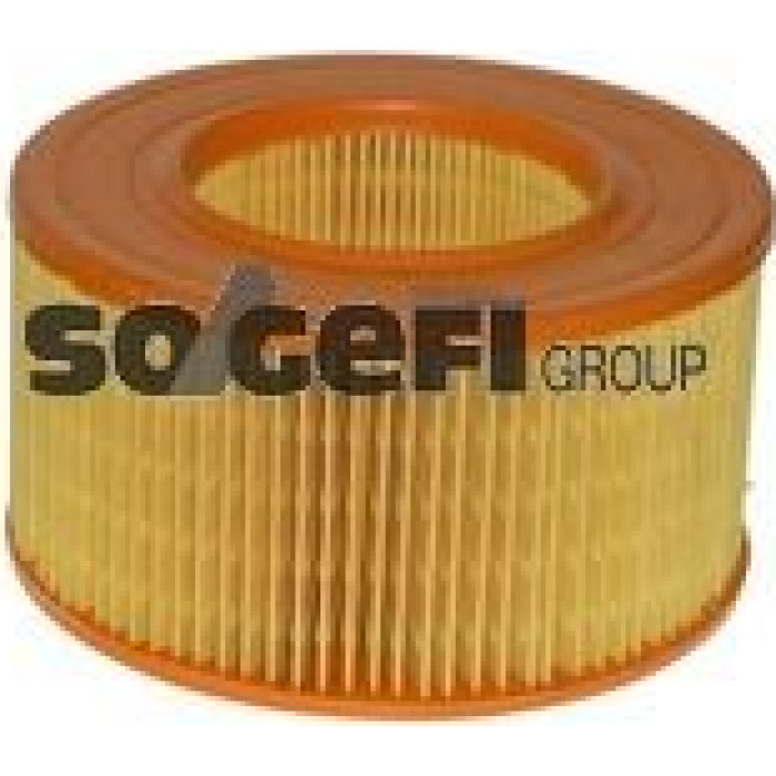 FRAM Luftfilter CA4306 FRAM Luftfilter CA4306