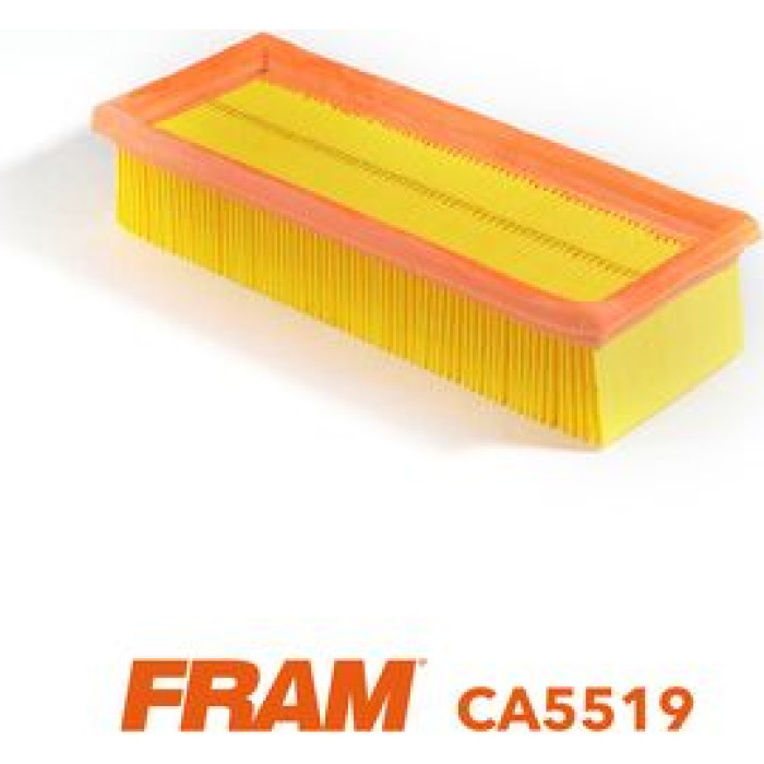 FRAM Luftfilter CA5519