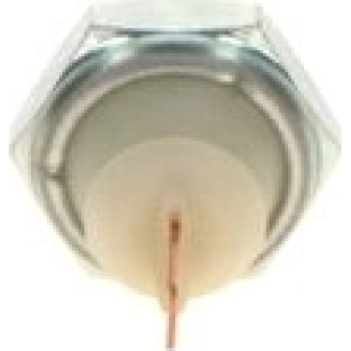 Bosch Druckschalter 0 986 344 074