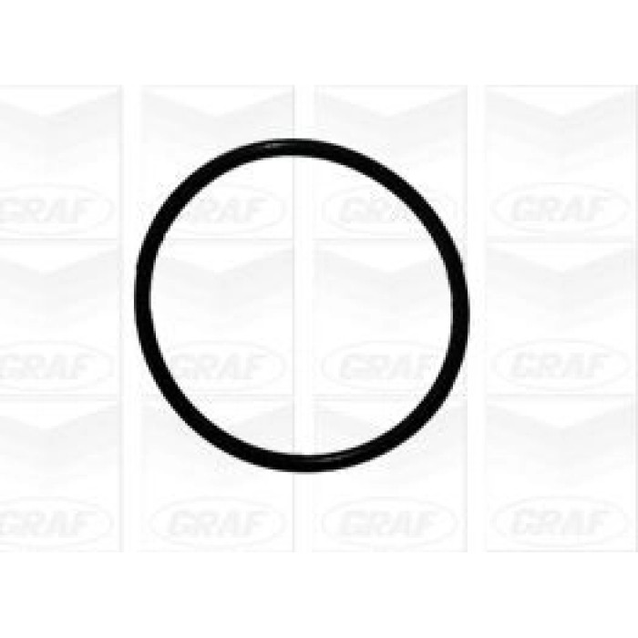 GRAF Wasserpumpe PA1084 GRAF Wasserpumpe PA1084