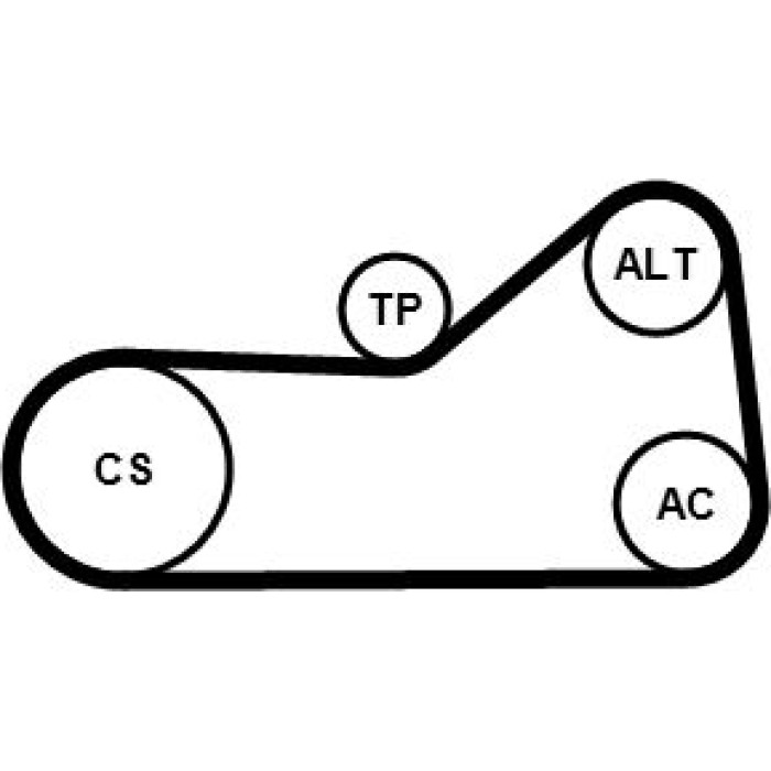 Continental CTAM Timing-Kit 6PK976WP1 Continental CTAM Timing-Kit 6PK976WP1