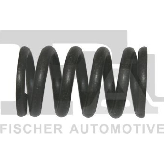 FA1 Auspufffeder 755-902 FA1 Auspufffeder 755-902