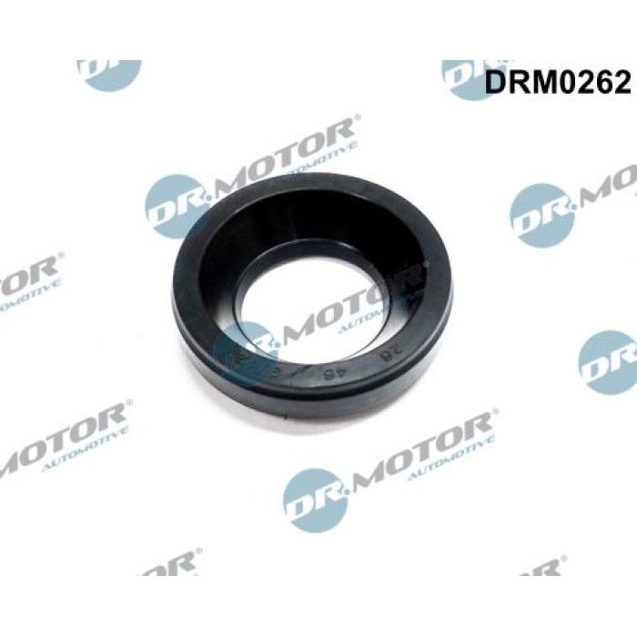 DR.MOTOR Dichtungssatz Einspritzdüse DRM0262