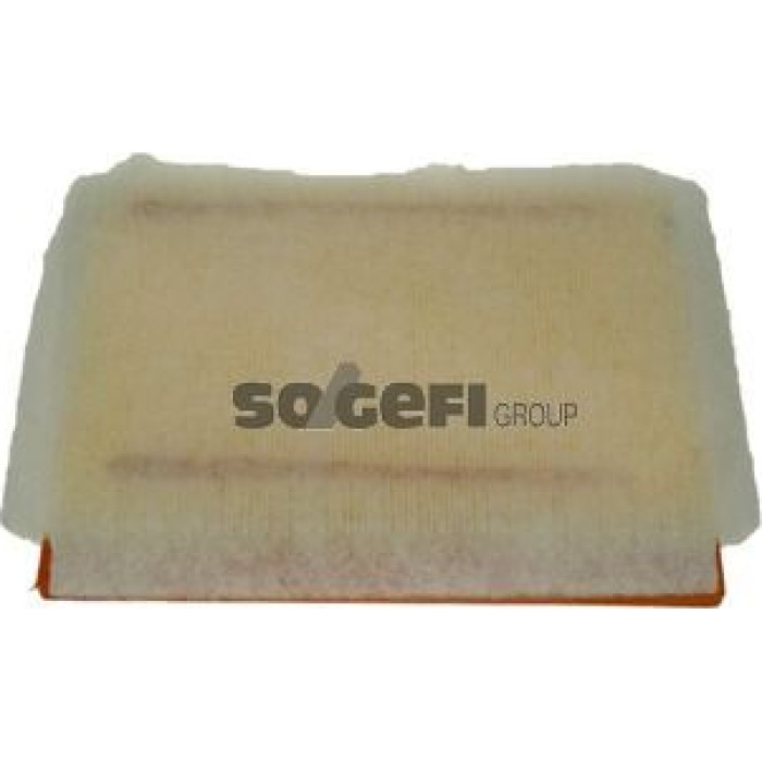 FRAM Luftfilter CA10399 FRAM Luftfilter CA10399