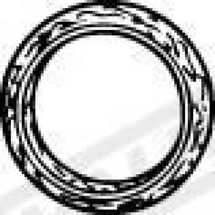 Walker Dichtung 82528