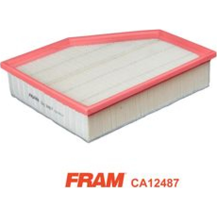 FRAM Luftfilter CA12487 FRAM Luftfilter CA12487