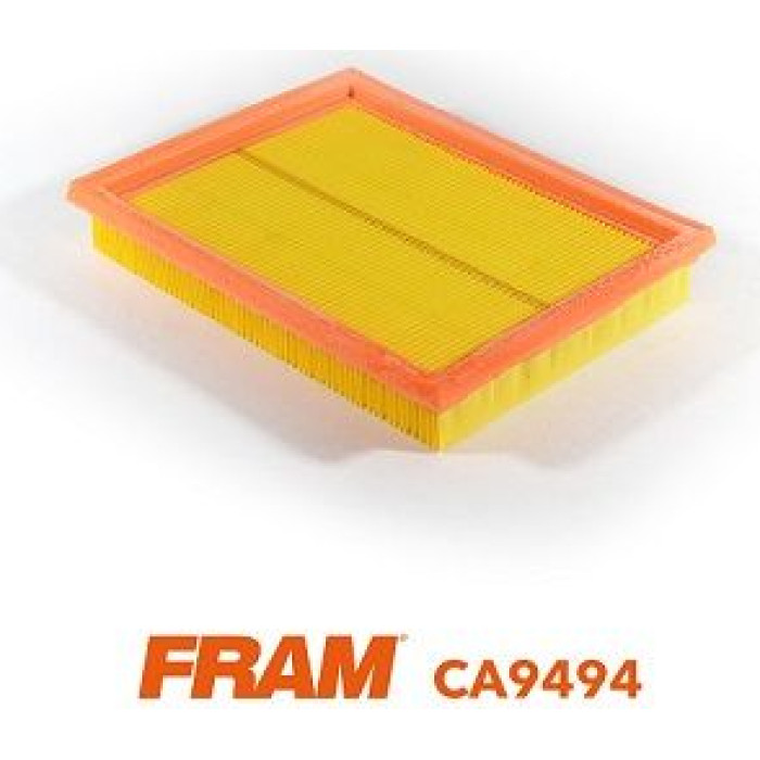 FRAM Luftfilter CA9494