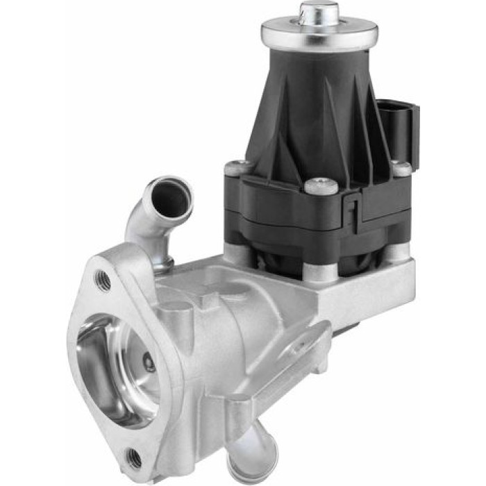 BorgWarner (Wahler) AGR-Ventil 710979D BorgWarner (Wahler) AGR-Ventil 710979D