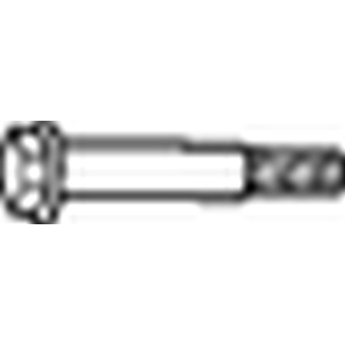 Bosal Abgasanlagen-Schraubensatz 258-789 Bosal Abgasanlagen-Schraubensatz 258-789