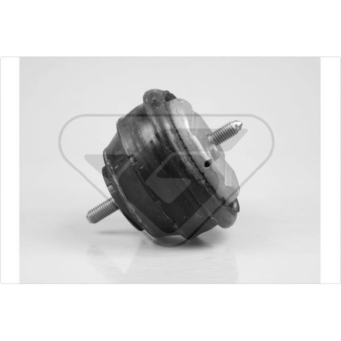 HUTCHINSON Lagerung, Motor 597051