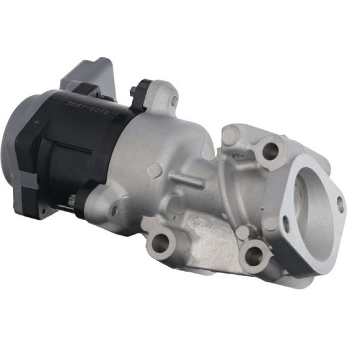 Valeo AGR-Ventil 700410