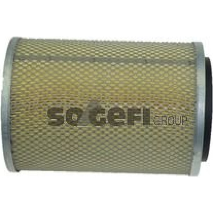FRAM Luftfilter CA4219