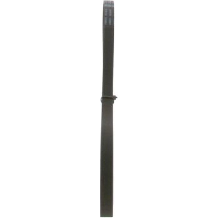 Bosch Keilrippenriemen 1987947895 Bosch Keilrippenriemen 1987947895