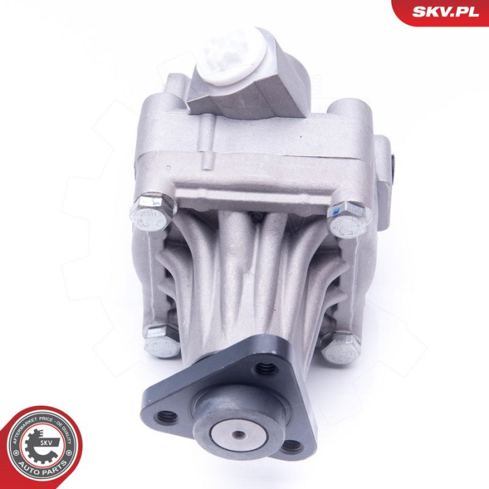 10SKV245 SKV GERMANY Hydraulikpumpe 10SKV245 10SKV245 SKV GERMANY Hydraulikpumpe 10SKV245