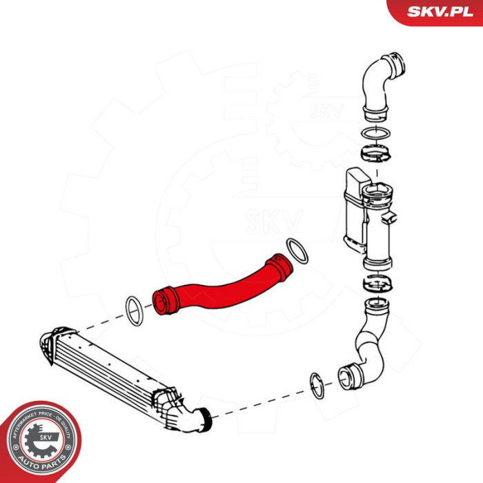 24SKV631 SKV GERMANY Luftschlauch 24SKV631 24SKV631 SKV GERMANY Luftschlauch 24SKV631