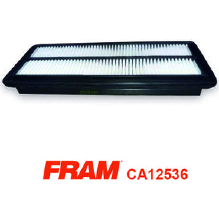 FRAM Luftfilter CA12536