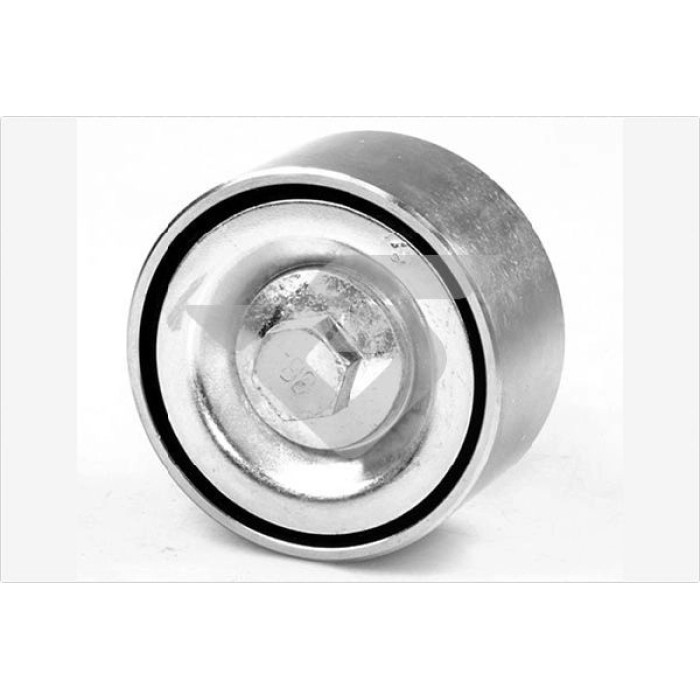 HUTCHINSON Umlenk-/Führungsrolle, Keilrippenriemen TK010
