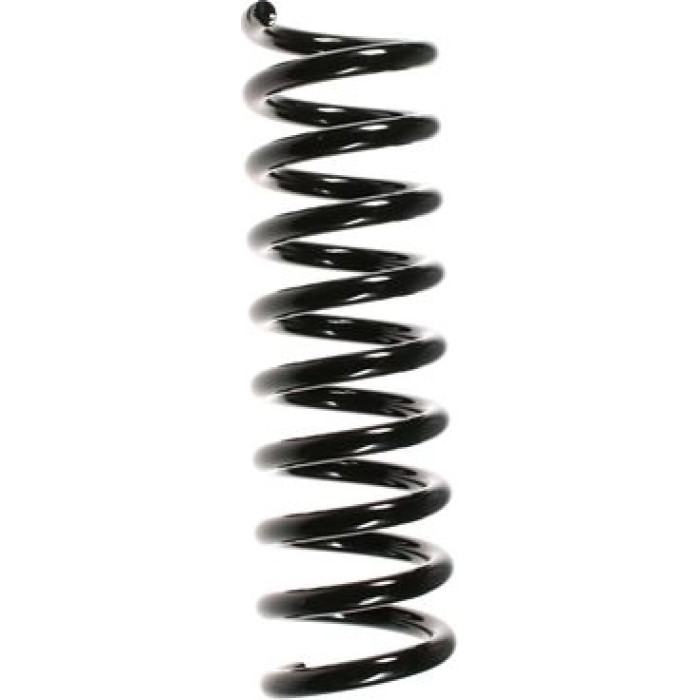 Spidan Fahrwerksfeder 55732 - Hinterachse