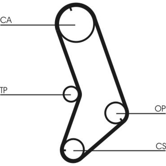 Continental CTAM Timing-Kit CT647K5 Continental CTAM Timing-Kit CT647K5