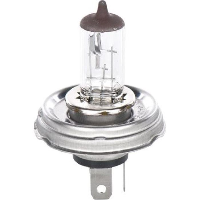 1987302021 Bosch R2H 12V 45/40W PURE LIGHT HALOGEN 1987302021