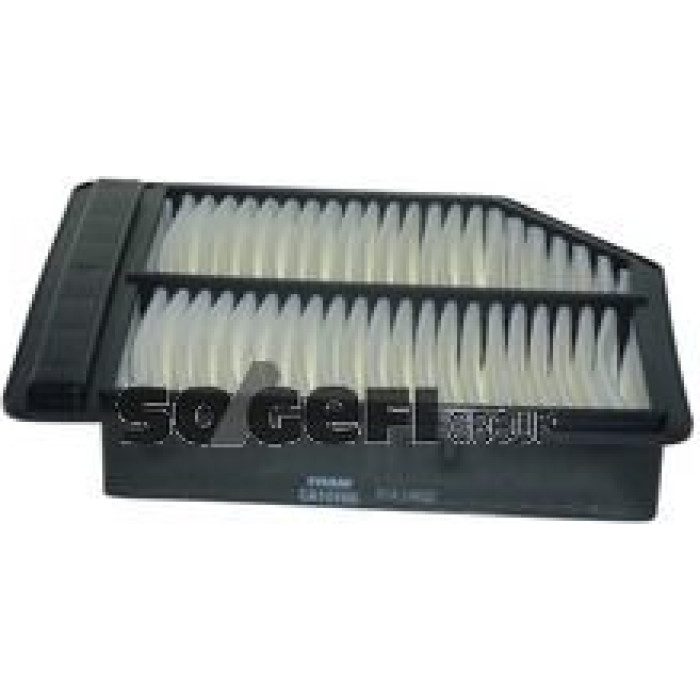 FRAM Luftfilter CA10165