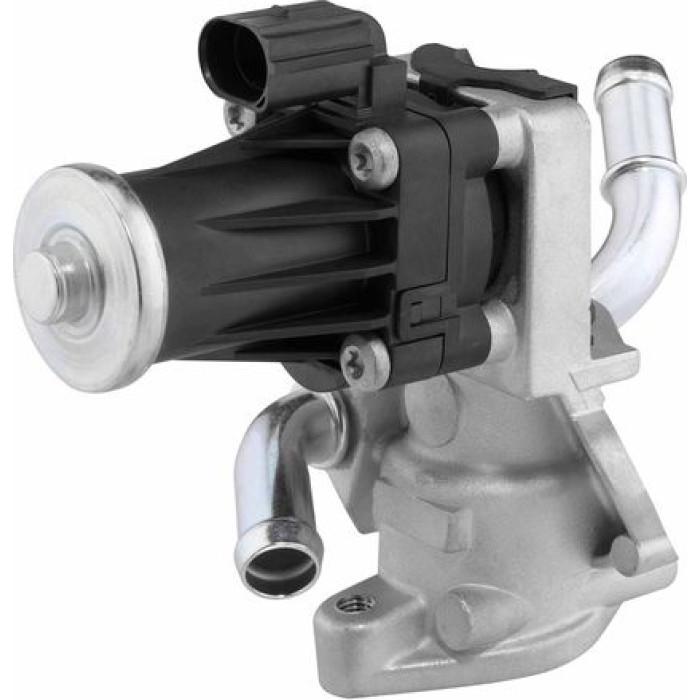 BorgWarner (Wahler) AGR-Ventil 710979D BorgWarner (Wahler) AGR-Ventil 710979D