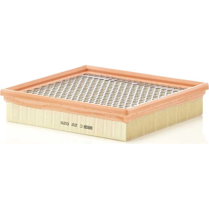 MANN-FILTER Luftfilter C 22 029 MANN-FILTER Luftfilter C 22 029