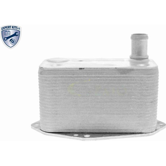 Vemo Motorölkühler V20-60-0057 Vemo Motorölkühler V20-60-0057