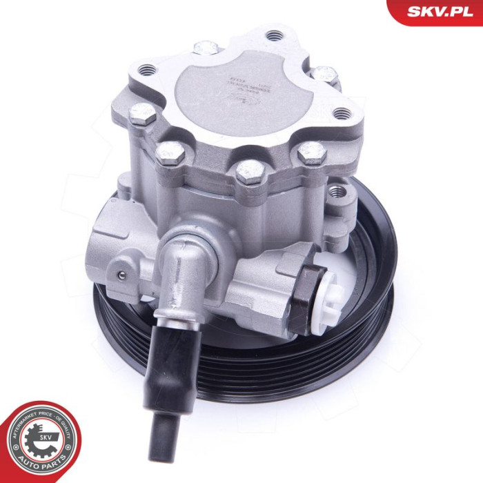 10SKV266 SKV GERMANY Hydraulikpumpe 10SKV266 10SKV266 SKV GERMANY Hydraulikpumpe 10SKV266