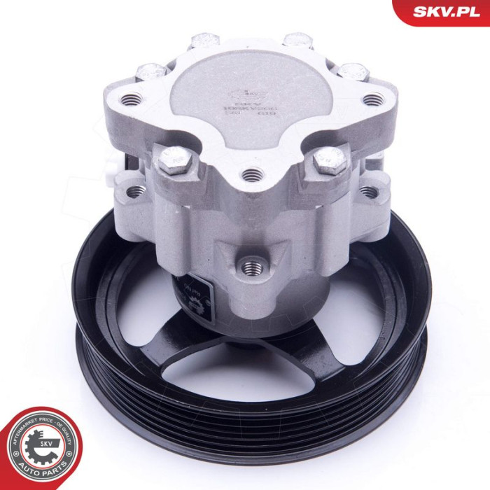 10SKV266 SKV GERMANY Hydraulikpumpe 10SKV266 10SKV266 SKV GERMANY Hydraulikpumpe 10SKV266