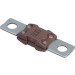 Sicherung Renault 500A/ Citroen/ Peugeot | 8200395310 Sicherung Renault 500A/ Citroen/ Peugeot | 8200395310