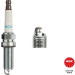 ILKAR7K11SNGK | Zündkerze | HONDA Accord 16 | 90255 ILKAR7K11SNGK | Zündkerze | HONDA Accord 16 | 90255