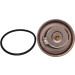 Thermostat, Kühlmittel | 67-0009 Thermostat, Kühlmittel | 67-0009