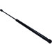 Gasfeder, Koffer-/Laderaum | 153738 Gasfeder, Koffer-/Laderaum | 153738