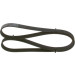 Keilrippenriemen | AUDI,SEAT,SKODA,VW | 1987948336 Keilrippenriemen | AUDI,SEAT,SKODA,VW | 1987948336