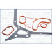 50316700 Dichtungsvollsatz, Motor