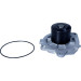 Wasserpumpe | 47-0080 Wasserpumpe | 47-0080