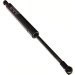 Gasfeder, Koffer-/Laderaum | 12-0034 Gasfeder, Koffer-/Laderaum | 12-0034